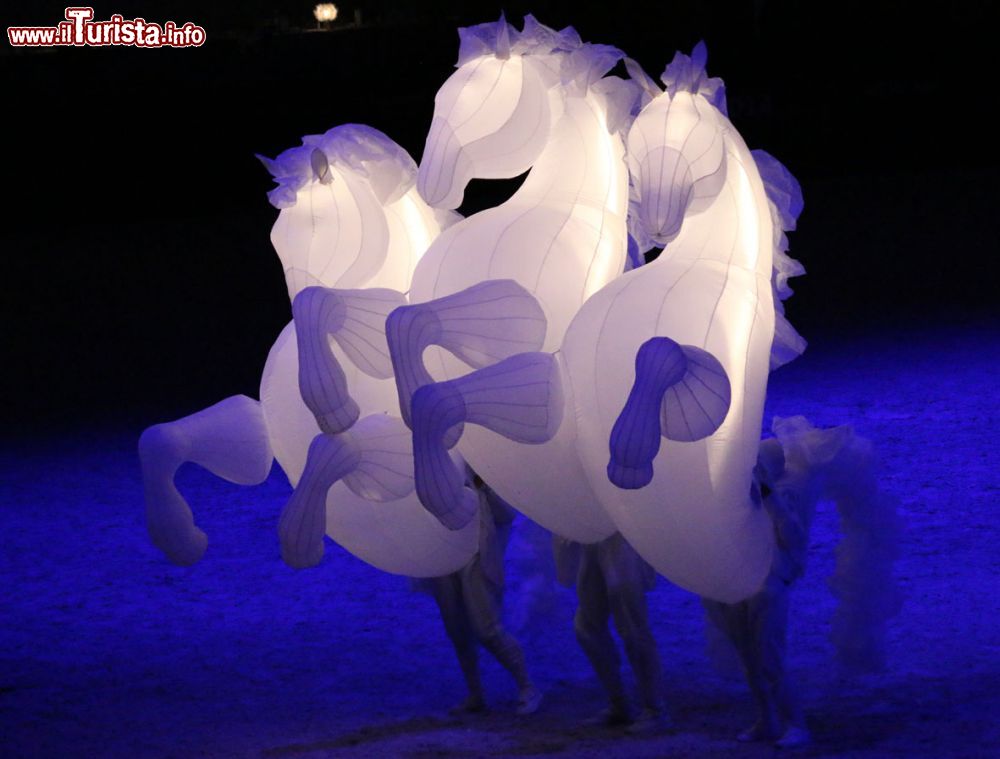Immagine Particolare dei Cavalli Luminosi alla rievocazione storica della Disfida di Barletta, Puglia.