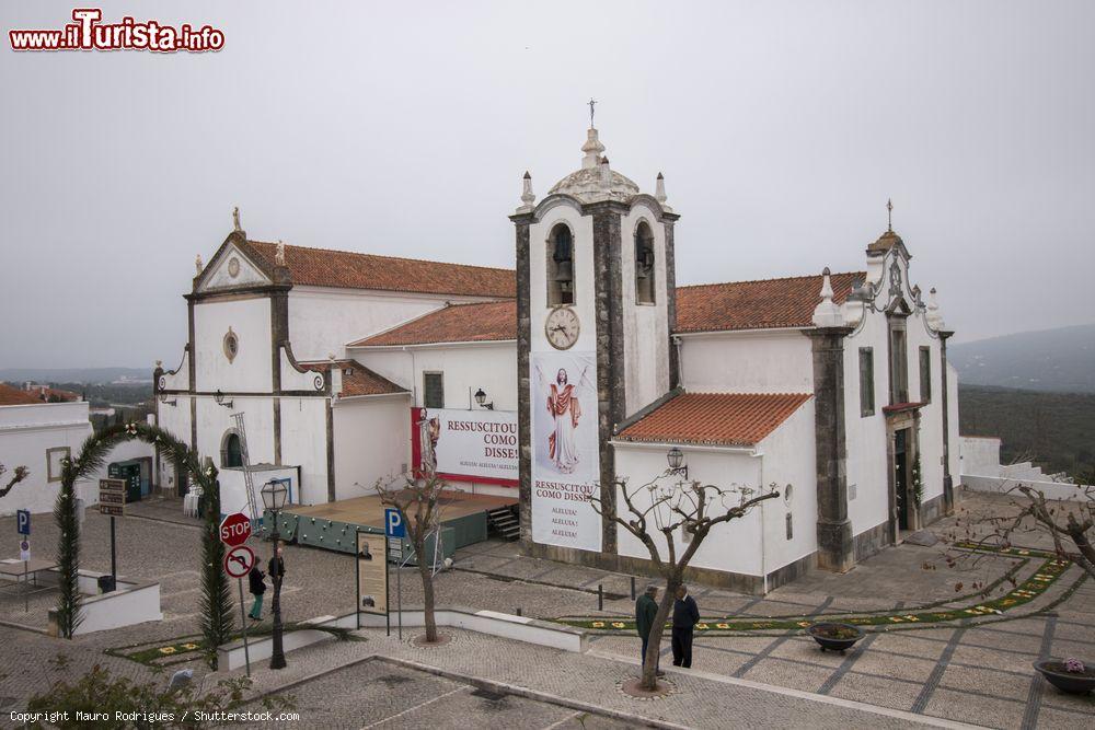 Immagine Un particolare della Festa das Tochas Floridas nel borgo di Sao Bras de Alportel, Portogallo - © Mauro Rodrigues / Shutterstock.com