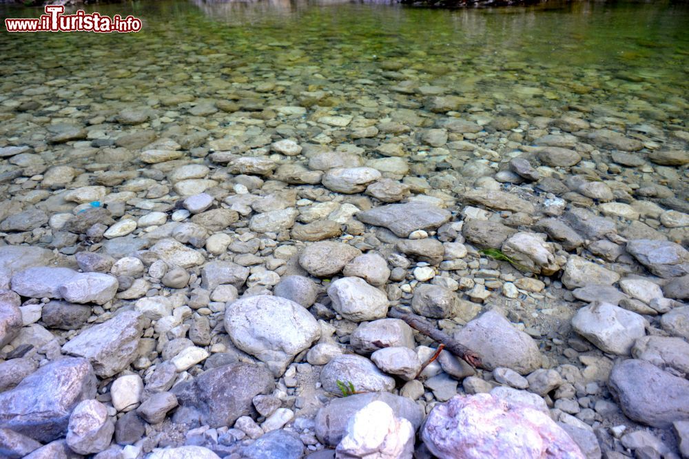 Immagine Particolare delle acque verdi delle pozze smeraldine a Tramonti si Sopra in Friuli