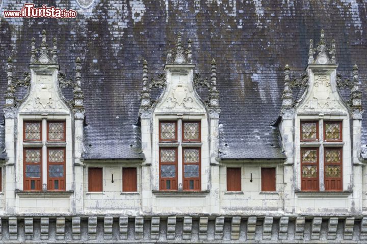 Immagine Le finestre decorate del Castello della Loira più famoso di Francia: Azay le Rideau - Così come sulla facciata della fortezza spiccano le iniziali dei Berthelot nella parte superiore, nella parte inferiore delle finestre vi sono sì decorazioni, ma non astratte. Le immagini raffigurate che riguardano l'ermellino e la salamandra non sono (solo) animali bensì espressioni di simboli che rappresentano gli emblemi della coppia reale Claude de Francia e il marito Re Francesco I. - © Kiev.Victor / Shutterstock.com