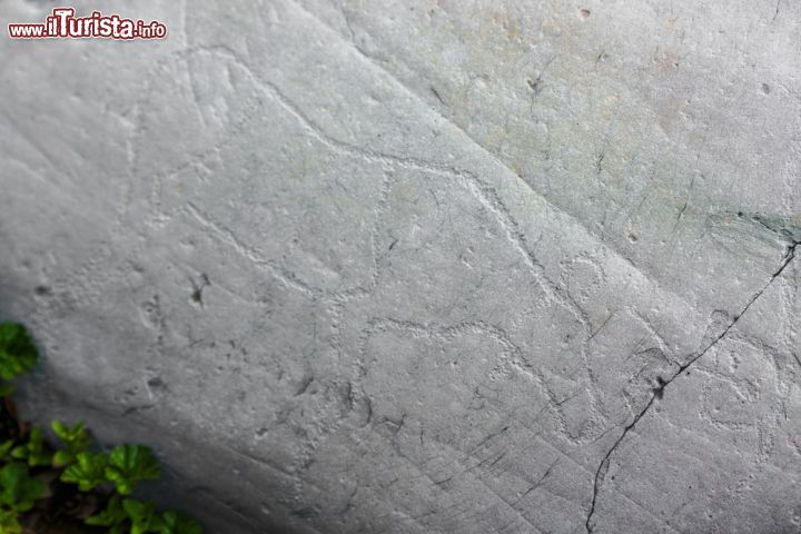 Immagine Osservando i graffiti realizzati in questa regione della Norvegia ci si rende conto che tendono a scendere verso il basso delle rupi indicando probabilmente la diminuzione graduale del ghiaccio fatta coincidere con il termine della Glaciazione. Collegati fra loro da un camminamento pedonale lungo circa 3 chilometri costruito nel 1980 e da vari sentieri, graffiti e incisioni si possono ammirare nei pressi della località di Hjemmeluft - © Anibal Trejo / Shutterstock.com