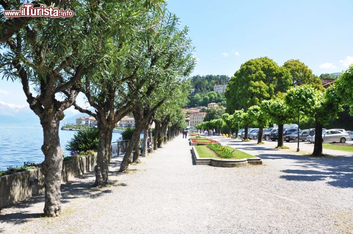 Immagine Passeggiata lungo il lago di Como a Menaggio, Lombardia. Per andare alla scoperta di questa città che si affaccia sul Lario si può percorrere la piacevole passeggiata da cui ammirare piazzette, fontane e palazzi antichi - © Alexander Chaikin / Shutterstock.com