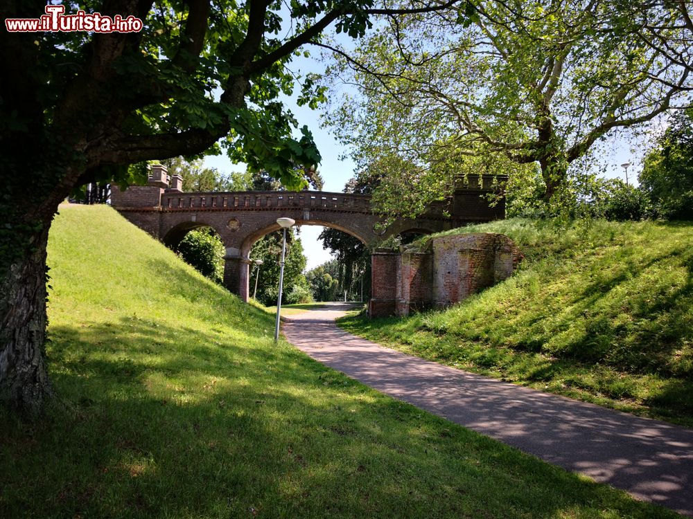 Immagine Passeggiata lungo un parco pubblico cittadino a Nijmegen, Olanda.