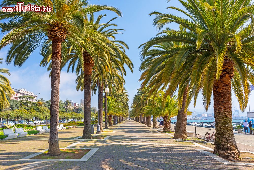 Immagine Passeggiata lungomare con palme a La Spezia, Liguria.