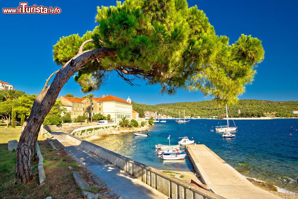 Immagine Passeggiata lungomare sull'isola di Vis, Croazia, Dalmazia. L'isola si estende per 90 km di vegetazione a piombo sul mare.