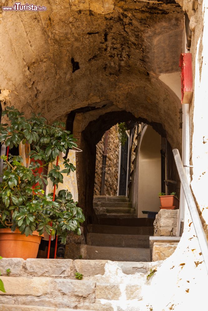 Immagine Passeggiata nel centro storico di Seborga in Liguria