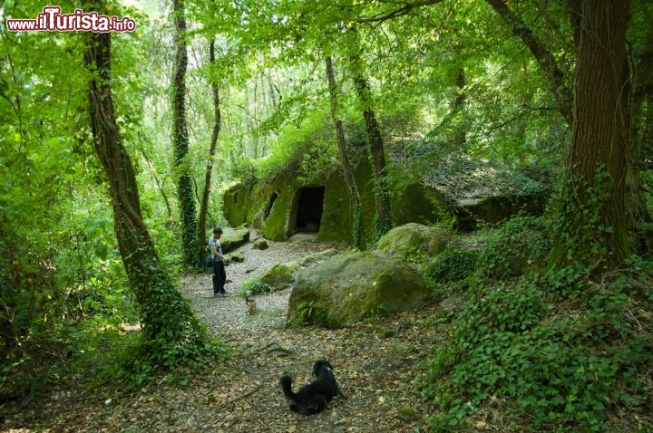 Immagine Passeggiata nel parco dei Mostri di Bomarzo nel Lazio