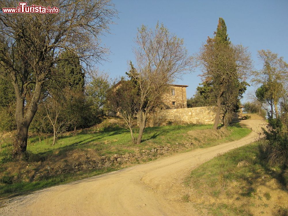 Immagine Passeggiata nelle campagne intorno a Montecolognola in Umbria - © Demeester - CC BY-SA 3.0, Wikipedia