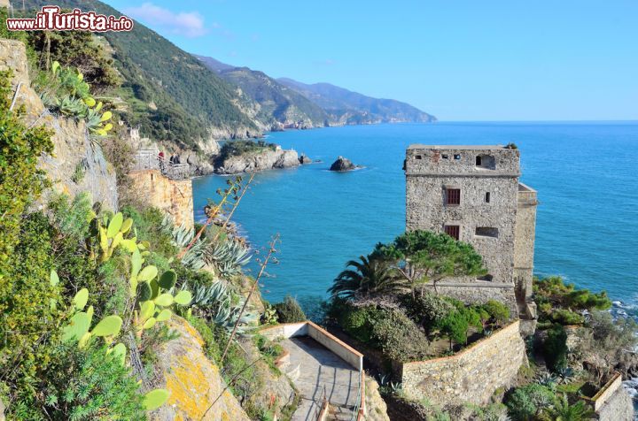 Immagine Percorso panoramico a Monterosso al Mare, Liguria, Italia - A chi piace passeggiare il borgo ligure offre dei suggestivi camminamenti cha accompagnano verso Punta Mesco, la bella vetta che chiude il golfo di fronte all'abitato © maudanros / Shutterstock.com