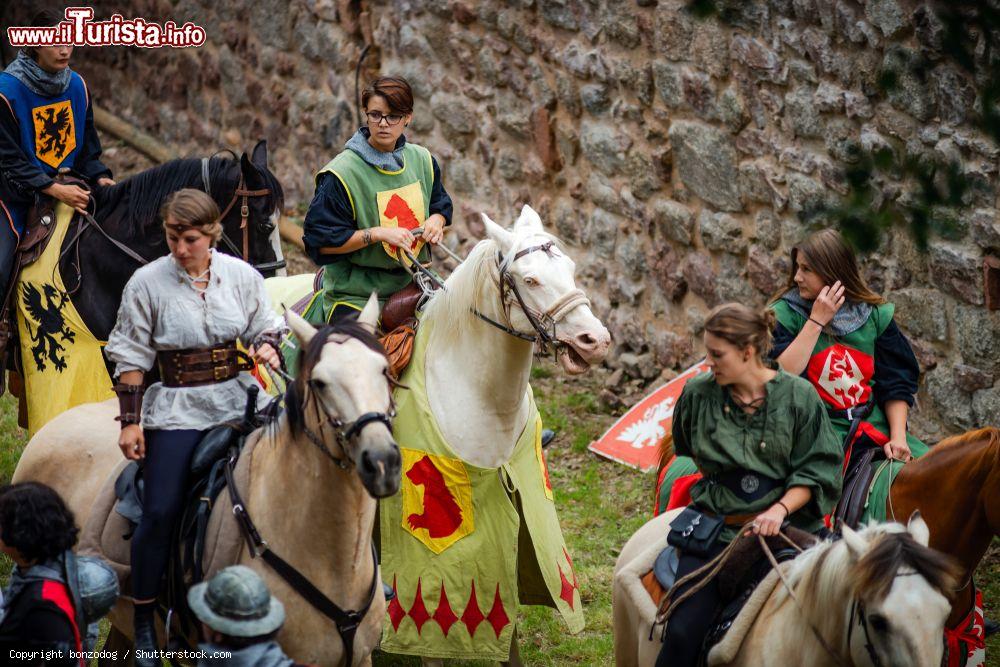 Immagine Personaggi in costume medievale al carnevale di Chatenois, Alsazia, sotto le mura della fortezza (Francia) - © bonzodog / Shutterstock.com