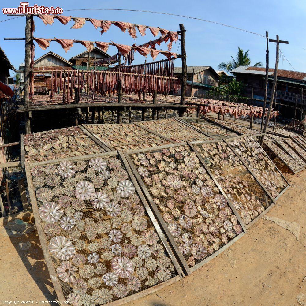 Immagine Pesce essiccato al sole nella città di Myeik, sud del Myanmar - © amnat30 / Shutterstock.com