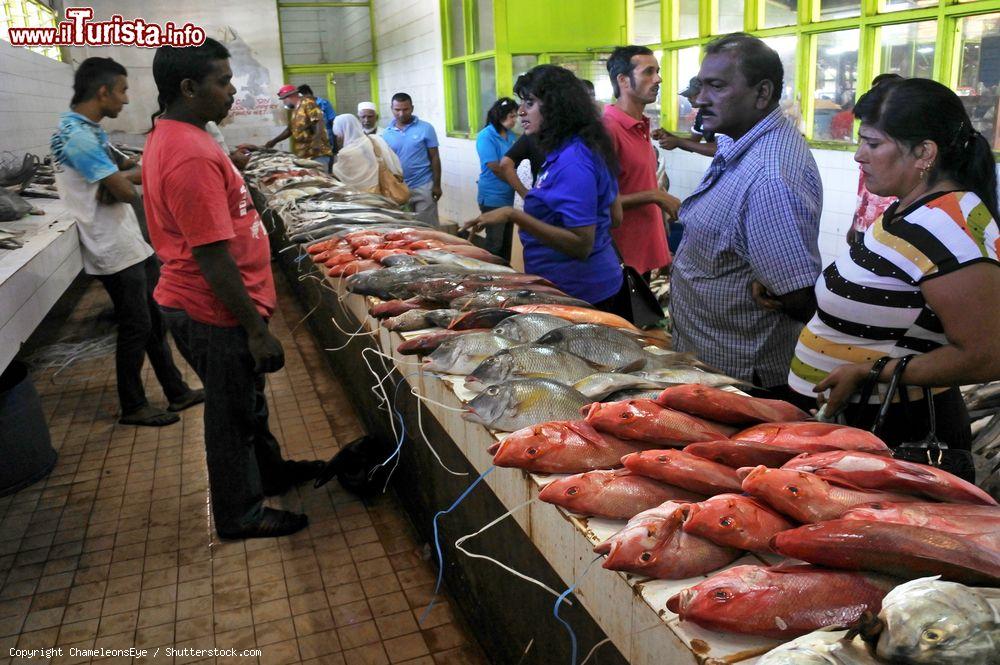 Immagine Pesce fresco in vendita al mercato di Nadi, Viti Levu, Figi. La pesca è la terza risorsa economica più importante per le isole Figi - © ChameleonsEye / Shutterstock.com