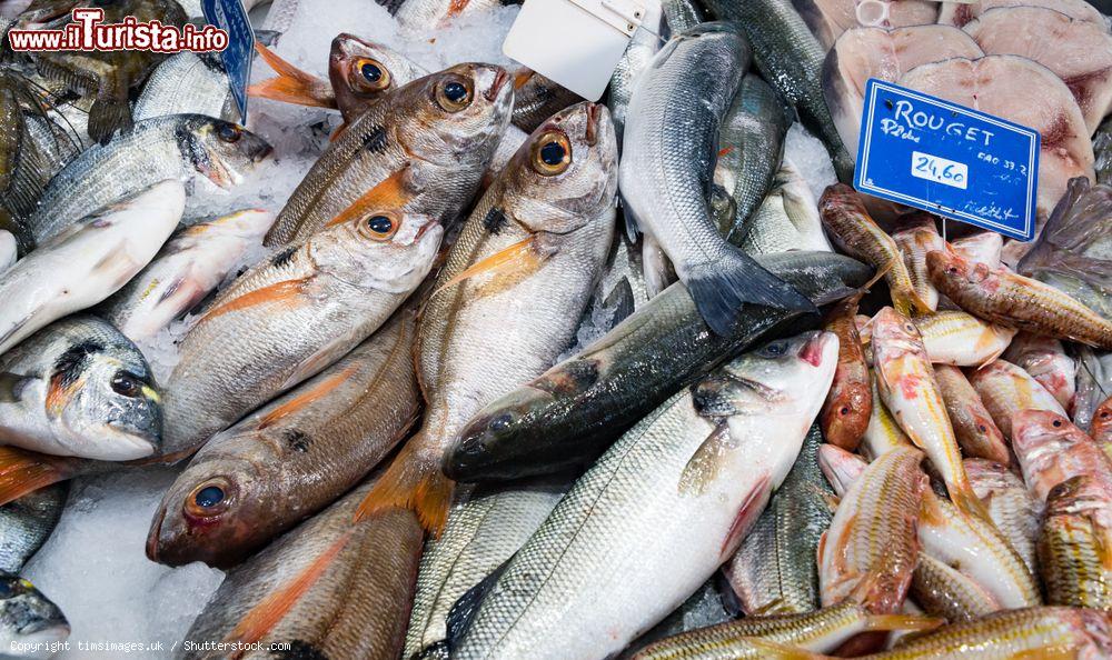 Immagine Pesce fresco in vendita al mercato di Sanary-sur-Mer, Francia - © timsimages.uk / Shutterstock.com