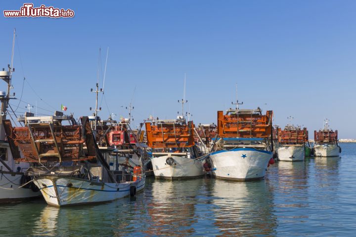 Immagine La flotta dei pescherecci nel porto di San Benedetto del Tronto - ©NICOLA MESSANA PHOTOS / Shutterstock.com
