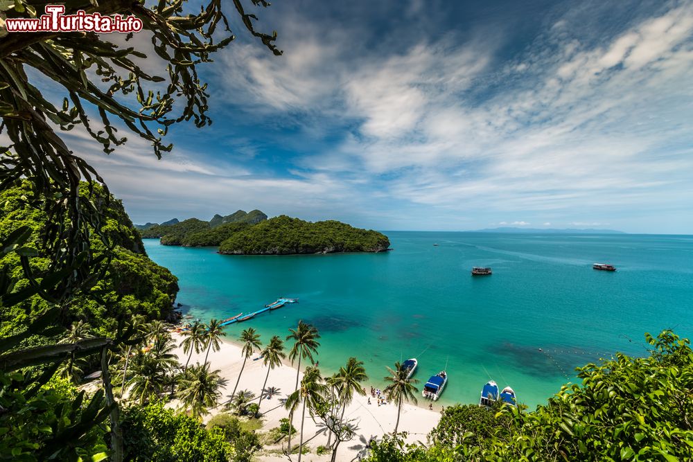 Immagine La Spiaggia Azzurra all'Ang Thong National Marine Park, Thailandia. Questo paradiso terrestre ospita un'ampia flora e fauna con scimmie, gatti selvatici, rettili, varani e anfibi. Le acque cristalline del parco sono popolate da barracuda, squali puntenere e delfini.