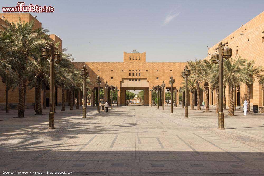 Immagine Piazza Deera o Chop-Chop Square nel centro di Riyadh, Arabia Saudita. Un tempo qui venivano effettuate le esecuzioni capitali - © Andrew V Marcus / Shutterstock.com