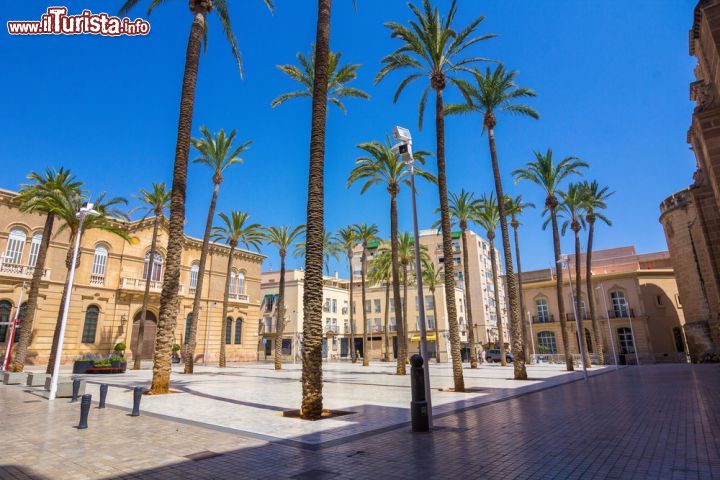 Immagine Piazza della Cattedrale a Almeria, Spagna. Impreziosito da alte palme, questo spazio urbano ospita la cattedrale cittadina, in origine una moschea poi successivamente trasformata in chiesa