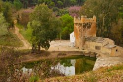 Alcala de Guadaira: il suo territorio è ricco di mulini storici - © monysasu / Shutterstock.com