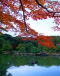Foliage autunnale a Kyoto, Giappone - Tra Settembre e Ottobre la natura si tinge di giallo, rosso e arancione offrendo spettacoli incredibili: una esplosione di colori ch si riflette anche sull'acqua ...