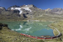 Bernina Express, il treno rosso da Tirano a Coira sulle Alpi Svizzere. La tratta affrontata da questo treno è un susseguirsi di paesaggi che vanno dai 429 metri di altezza sul livello ...