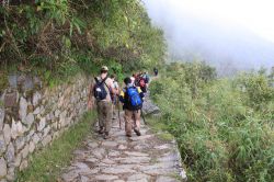 Camminando sul sentiero dell'Inca Trail, ...