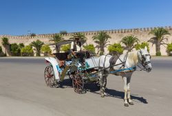 Carrozza turistica pronta all'escursione lungo le bella mura di Meknes in Marocco - © posztos / Shutterstock.com 