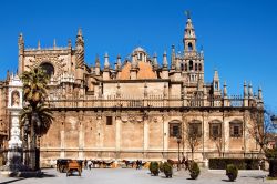 La Cattedrale di Siviglia e la vicina torre della ...
