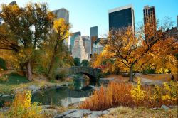 Autunno a Central Park di New York, Stati Uniti. Il bel foliage autunnale di Central Park, il più grande parco nel distretto di Manhattan - © Songquan Deng / Shutterstock.com