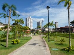 Clima Manaus: una rara giornata serena al parco ...