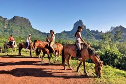 Escursione a cavallo all'interno dell'Isola di Moorea in Polinesia Francese