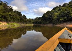 Escursione in barca sul Rio delle Amazzoni vicino a Manaus - © Gleb Aitov / Shutterstock.com