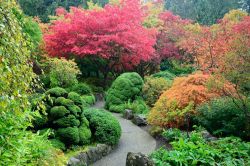 I Butchart Gardens di Vancouver, Canada, sono giardini floreali situati accanto a Victoria, sulla Vancouver Island, nella Brentwood Bay. Ogni stagione è un tripudio di colori, proprio ...