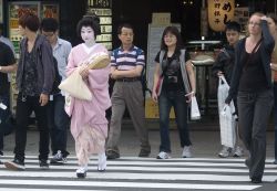 Geisha in strada, una tradizione antica che è ancora possibile incontrare in alcune vie dei quartieri storici di Tokyo - © Attila JANDI / Shutterstock.com 