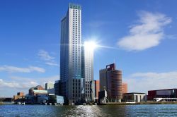 Grattacieli a Rotterdam, il più importante porto dell'Olanda - © Igor Plotnikov / Shutterstock.com