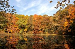 Greenbelt Conservancy di New York, Stati Uniti. Gli spettacolari colori autunnali di questo parco situato al 200 di Nevada Avenue - © sigreenbelt.org