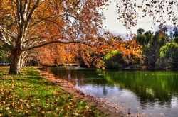 Hyde Park a Perth, Australia, in autunno. Questo spazio verde si trova all'angolo nord est del sobborgo di Perth, 2 km a nord del quartiere centrale degli affari. 108611351