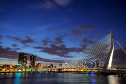 Il famoso Ponte Erasmus, si trova lungo lil fiume Meuwe (Mosa) a Rotterdam, la città portuale dell'Olanda - © Ljupco Smokovski / Shutterstock.com