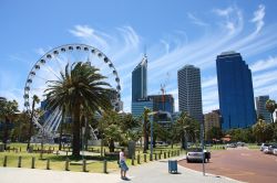 Il centro di Perth, Western Australia, con i grattacieli e la ruota panoramica. 115391083