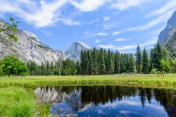 Il magico paesaggio dello Yosemite National Park ...