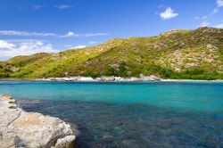La costa di Agriates: mare cristallino e natura selvaggia nel nord della Corsica - Sebbene alcune spiagge, quali Lotu e Saleccia, siano le principali attrazioni del territorio del Desert des ...