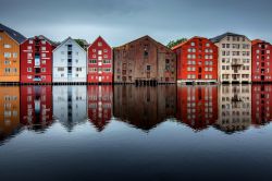 Le palafitte del centro storico di Trondheim, il famoso Midtbyen, si riflettano sul mare della Norvegia - © Sergey_Bogomyako / Shutterstock.com