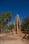 Magnetic Termite Mounds Litchfield National Park ...