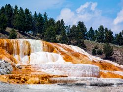 Mammoth Hot Springs: nella parte nord dello Yellowstone National Park si trovano questi grossi depositi colorati di travertino - © Kenneth Keifer / Shutterstock.com