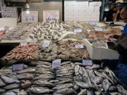 Tra i banchi del mercato del pesce di Atene