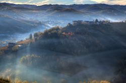 Panorama delle colline vicino a Alba, Piemonte, Italia - © Rostislav Glinsky / Shutterstock.com