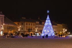 Piazza centrale di Vilnius a Natale, con il grande albero illuminato - © Anna Lurye / Shutterstock.com