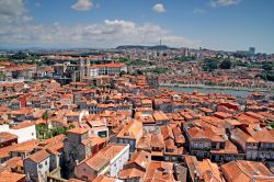 Oporto (in portoghese Porto) sorge sulla riva settentrionale del fiume Douro, a breve distanza dalla costa atlantica, nel nord-ovest del Portogallo © Jorge Pedro Barradas de Casais / ...