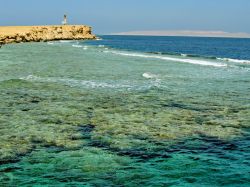 Ad El Gouna si trova una delle barriere coralline più belle del Mar Rosso (Egitto) - © jele / Shutterstock.com