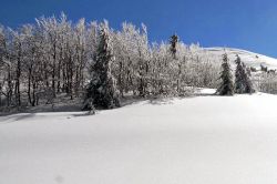 Sciare a Schia Emilia Romagna