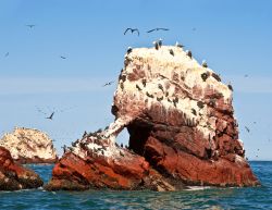 Scoglio coperto da guano: ci troviamo alle Islas Ballestas, al largo di Paracas in Perù - © Ksenia Ragozina / Shutterstock.com